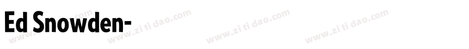 Ed Snowden字体转换